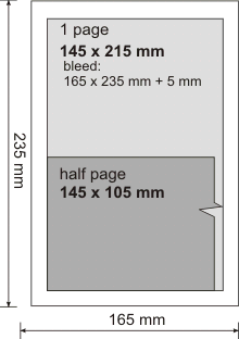 Worldwide Shipyards advertisement dimensions